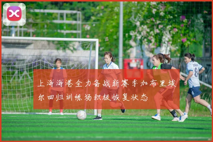上海海港全力备战新赛季加布里埃尔回归训练场积极恢复状态
